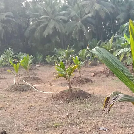 Ballaleshwar Cottage Alibag Exterior photo