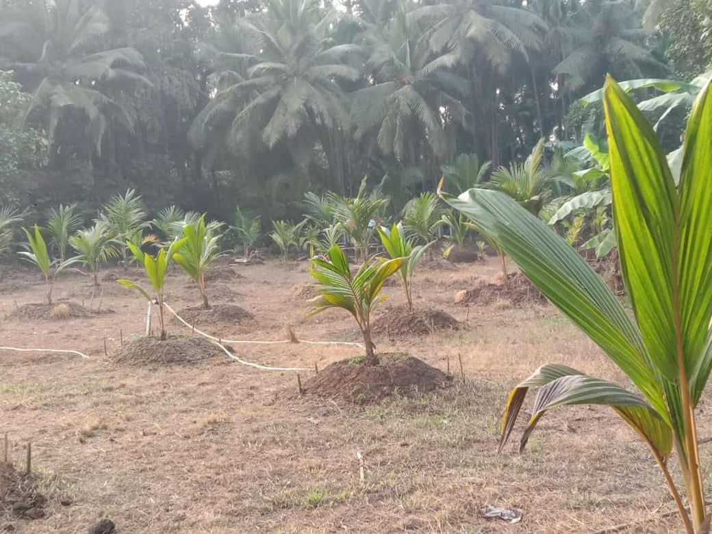Ballaleshwar * Alibag