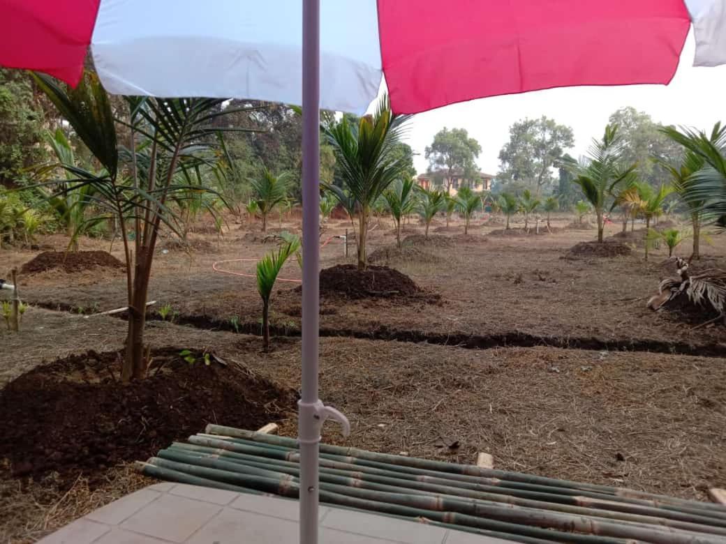 Homestay Ballaleshwar *
