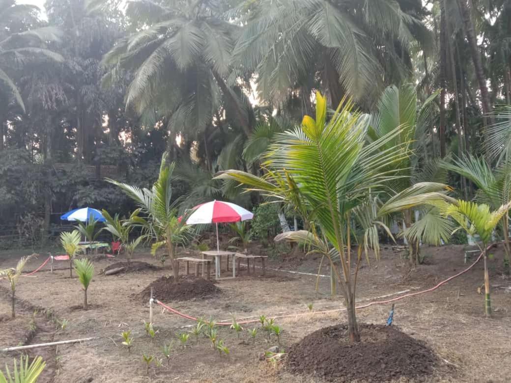 Homestay Ballaleshwar